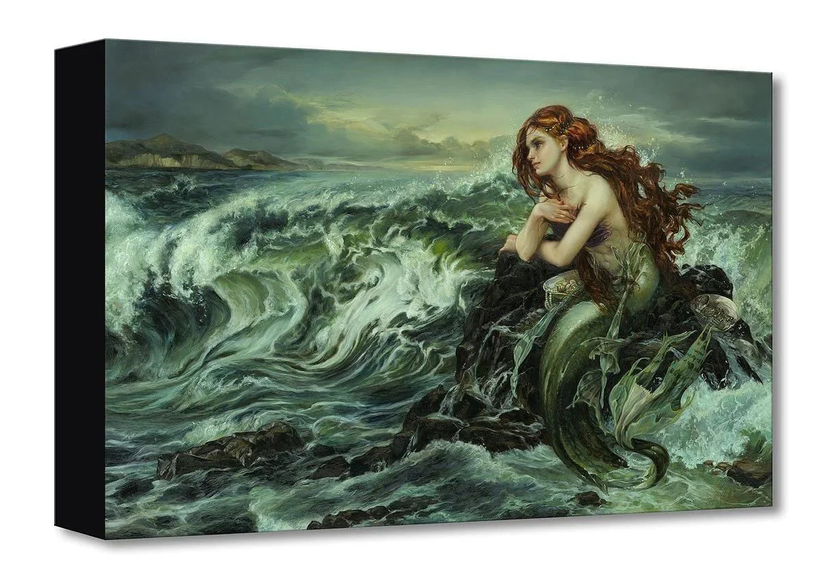 Drawn to the Shore