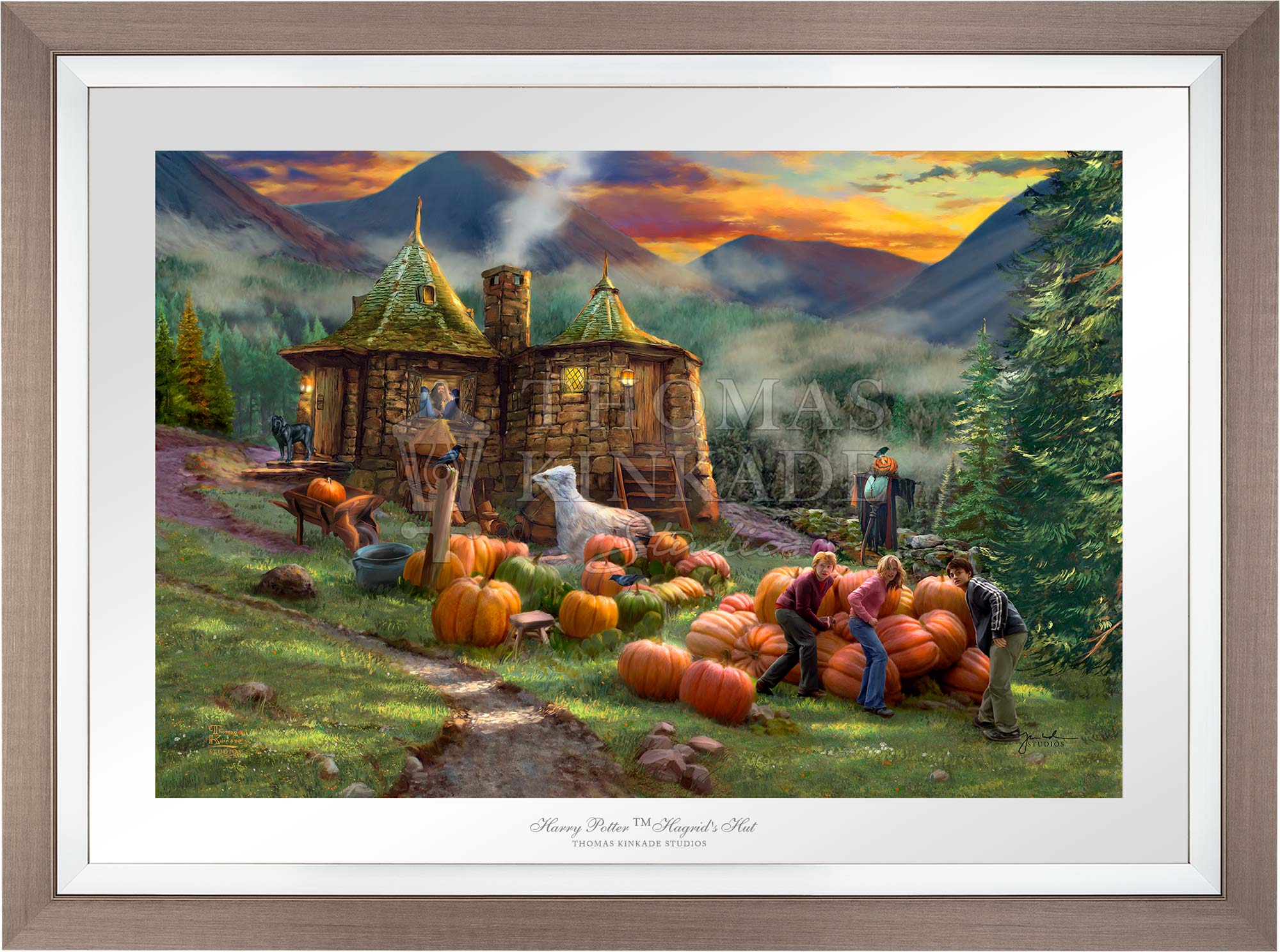 Harry Potter™ Hagrid's Hut - Image 4