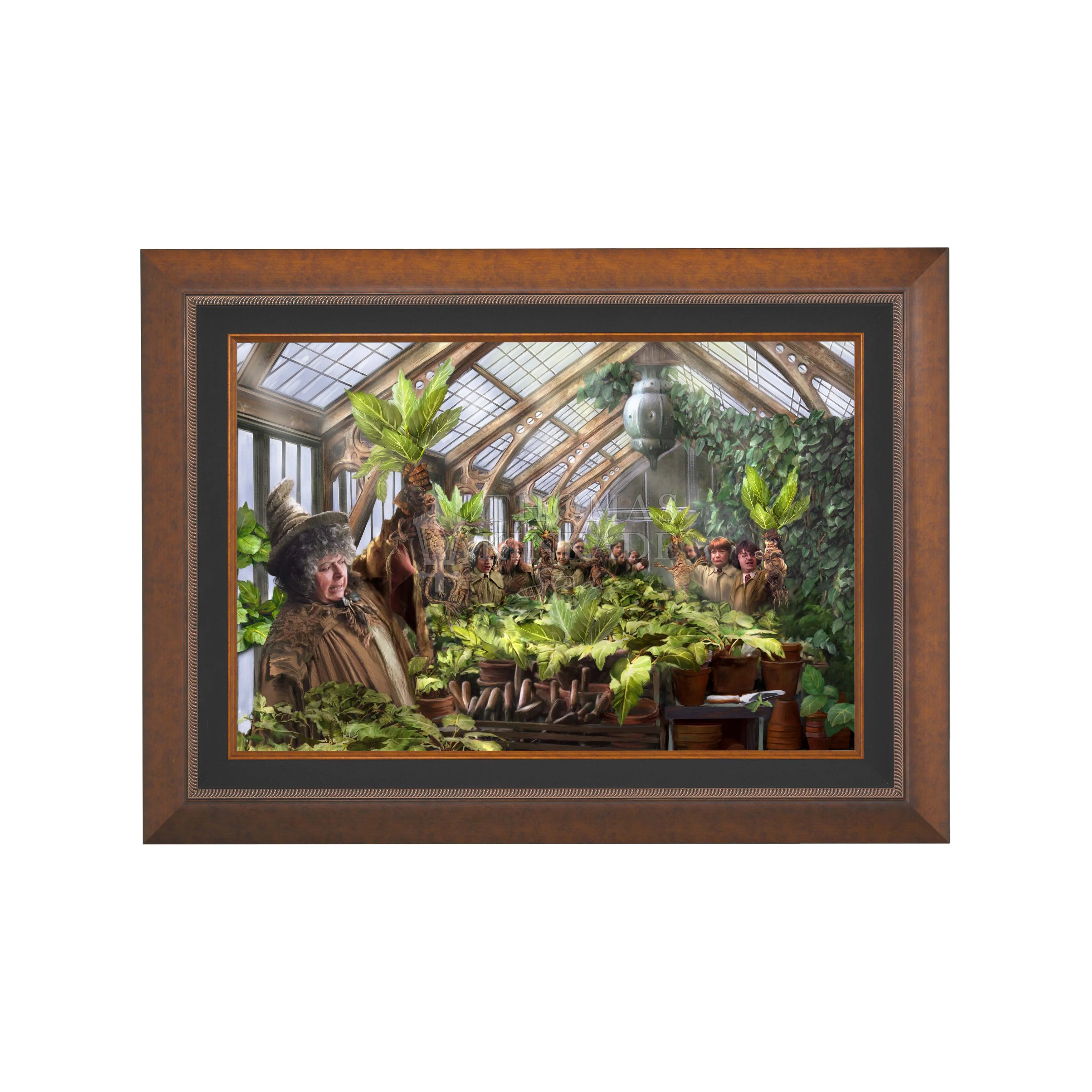 Hogwarts Greenhouse - Image 3