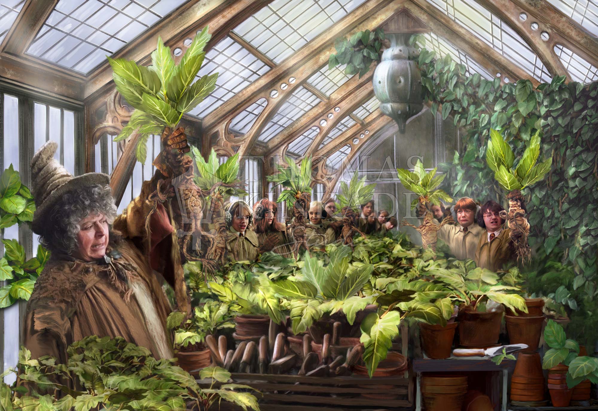 Hogwarts Greenhouse - Image 7