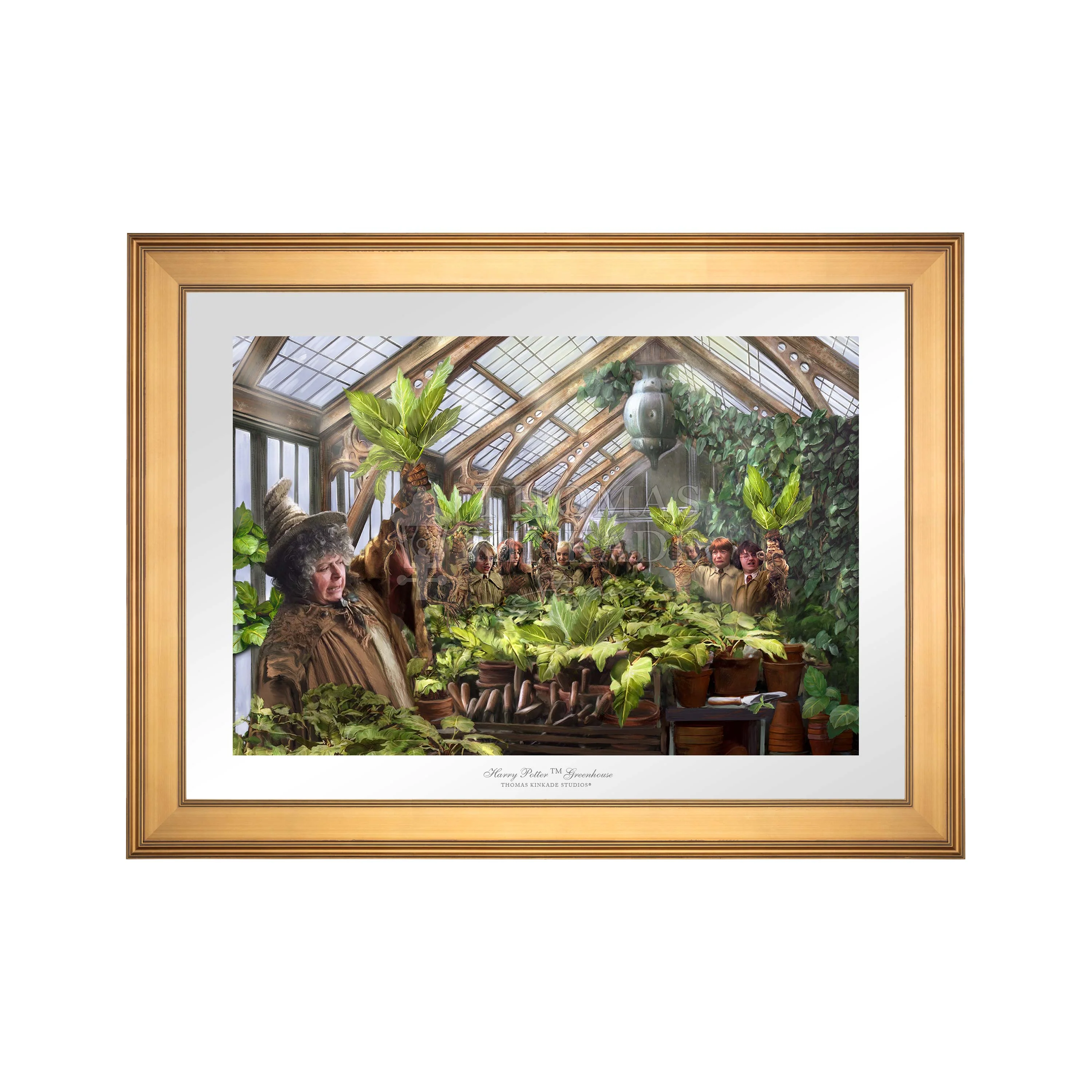 Hogwarts Greenhouse - Image 2