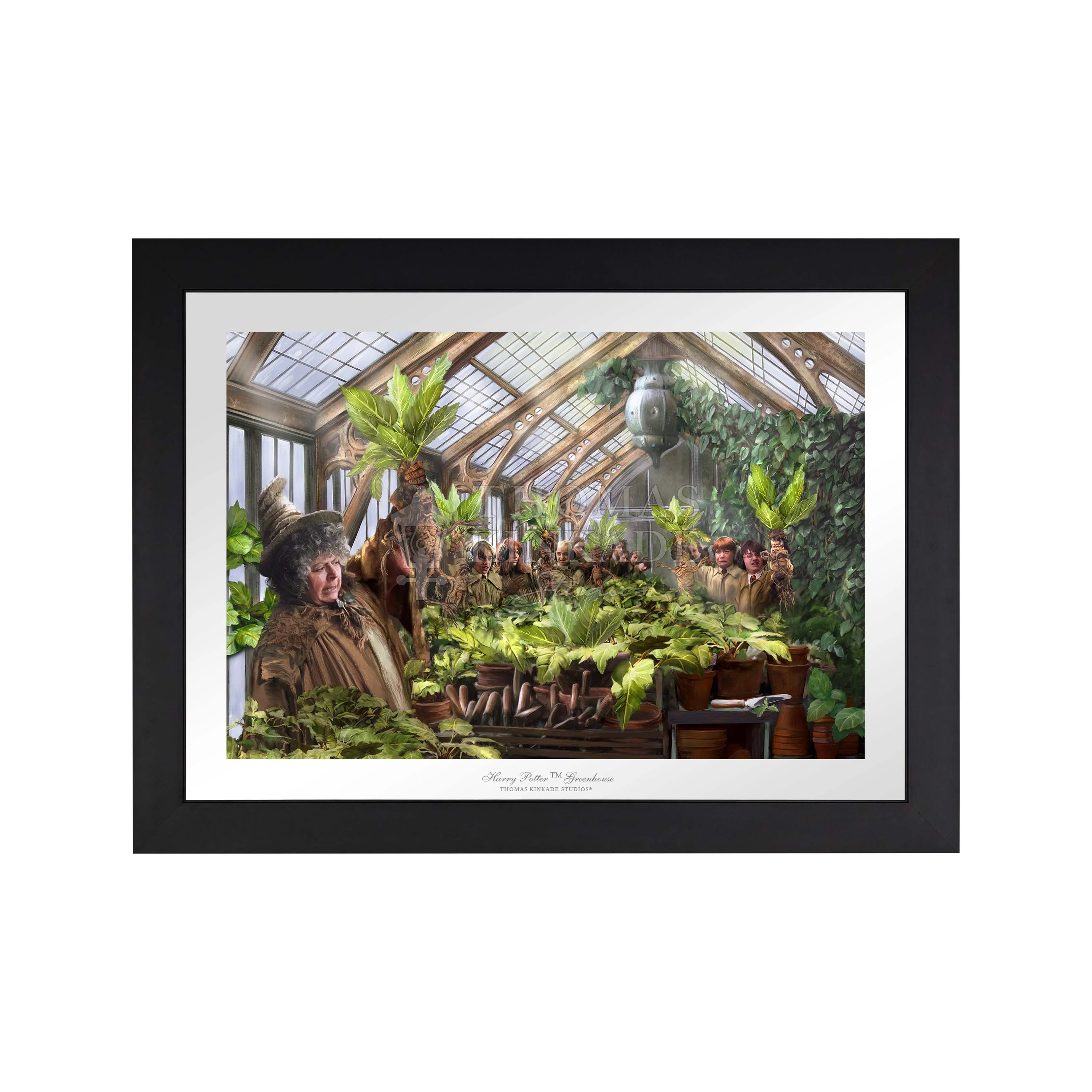 Hogwarts Greenhouse - Image 3