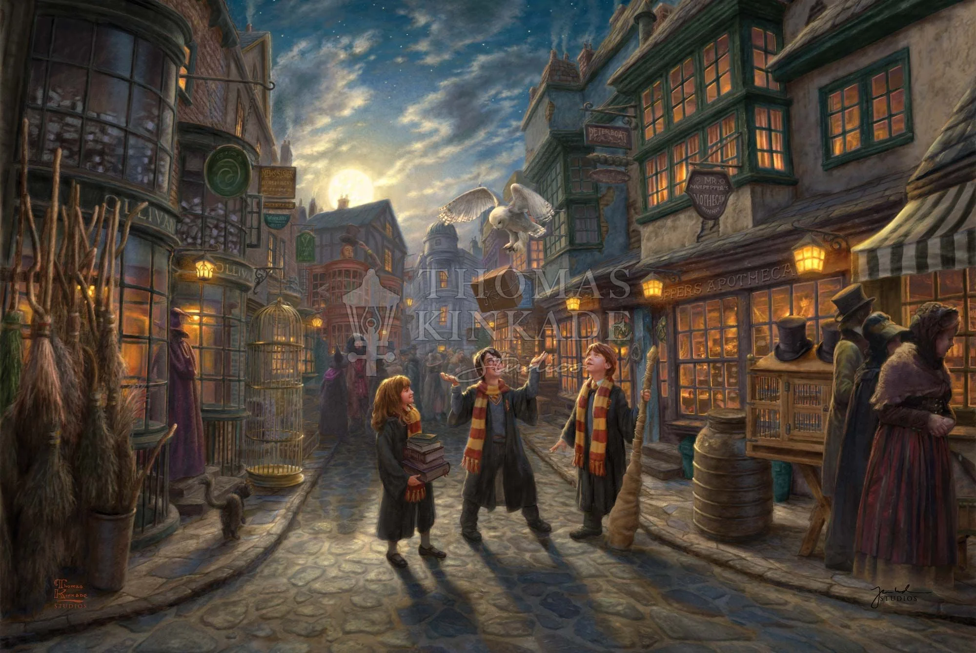 Diagon Alley - Image 6