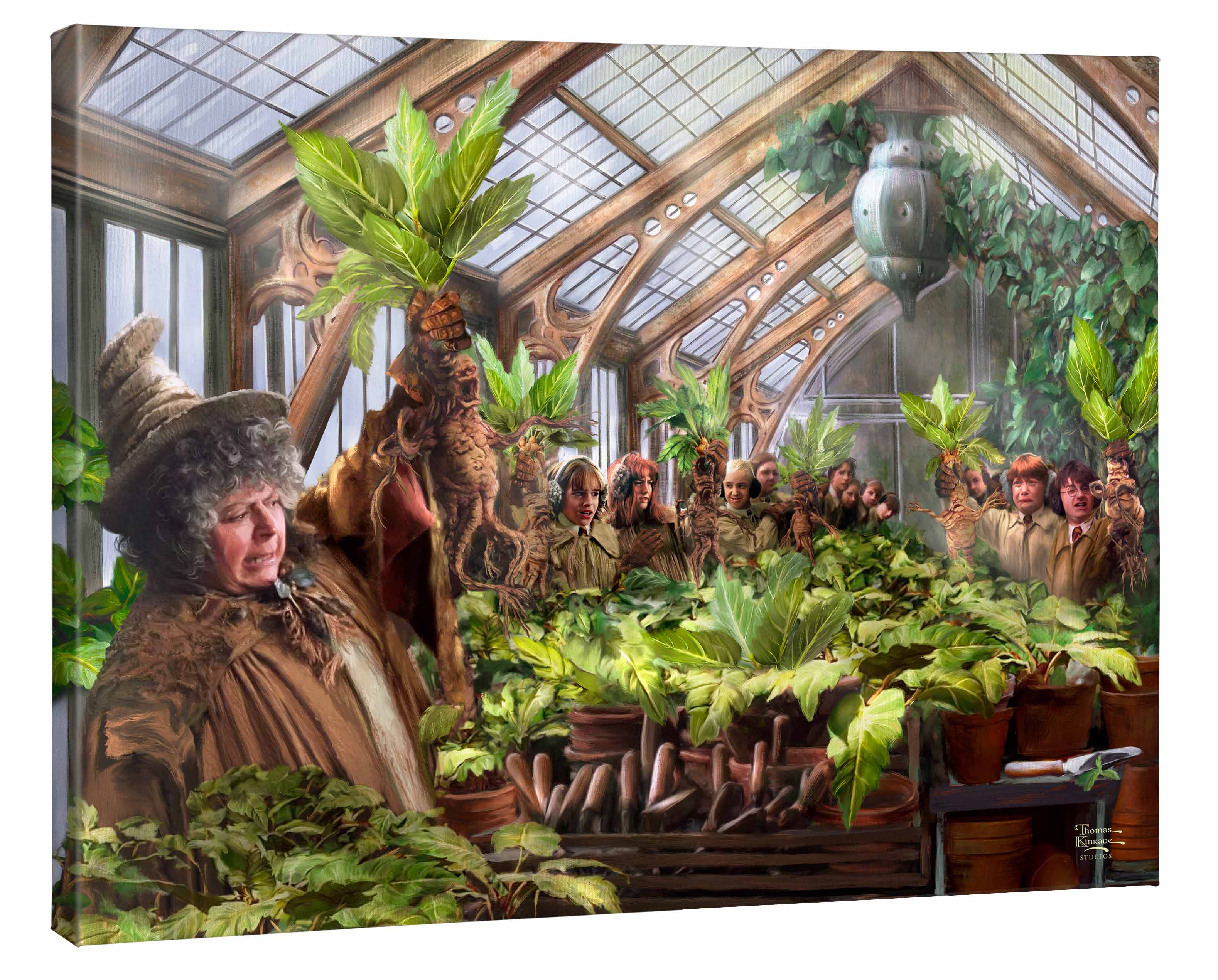 Hogwarts Greenhouse - Image 2