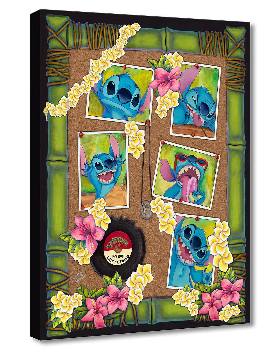 Stitch's Snapshots